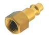 Brass Color Quick Coupler