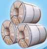 heat galvaniazed steel coils