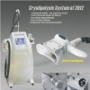 Cryolipolysis system Beauty Equipment