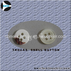 2 holes white troca shell button