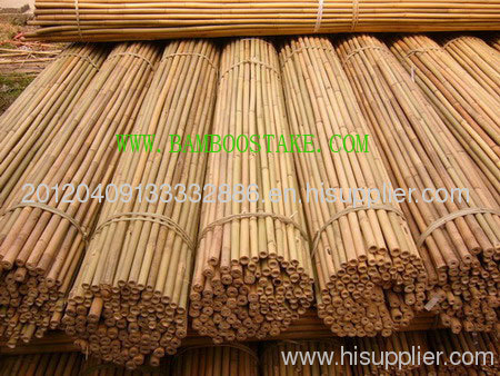 bamboo stakes