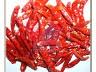 DRIED RED CHILLI