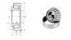 The most competitive product Taper roller bearing 30203