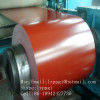 G3312 Color Coated Coil:G3312 Color Coated Steel Coil:G3312 Color Coated Coil Mill