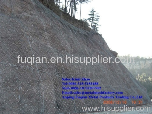 Anping Slope Protection Mesh(Competitive Price)