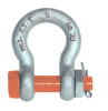 Grade S Bow Shackle with Safety Pins AS 2741