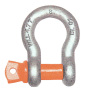 Grade S Bow Shackle with Screw Pin AS2741