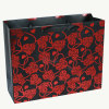 2012 Printing Paper bag