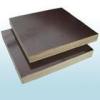 poplar core brown and black film faced plywood for construction