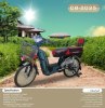 60 v , 450 watt electric bike shams model