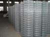 China Galvanized Welded Wire Mesh