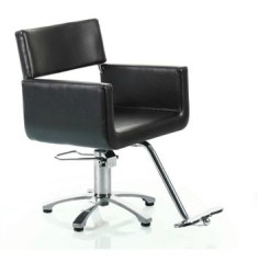styling chair/salon chair/DE68115