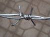 Hot Dipped Galvanized Barbed Wire