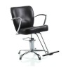 styling chair/salon chair/DE68123