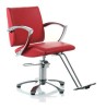 styling chair/salon chair/DE68136