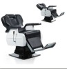 barber chair/salon chair