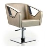 styling chair/salon chair/DE68179