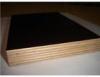 black film faced plywood