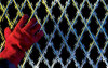 garden welded razor wire mesh fence stainless steel