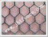 Hexagonal wire mesh