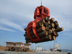 Electro-hydraulic timber grab