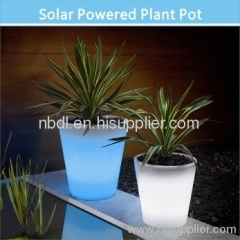 Solar Powered Plant Pot