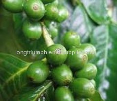 Green Coffee Bean Extract