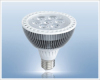 PAR38 LED Spotlight