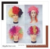 Fan Wig