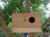 Wooden Bird House&Bird feeder