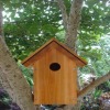 Wooden Bird House&Bird feeder