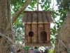 Wooden Bird House&Bird feeder