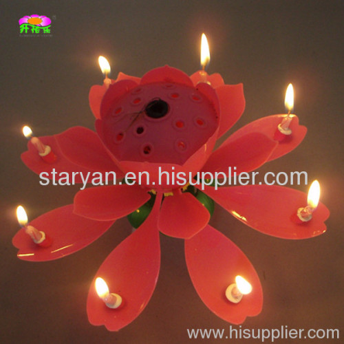 Chrysanthemum flower musical birthday candles