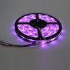 IP67 DC12V RGB LED strip