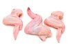 fresh frozen chicken wings