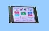 WH-FSC Color LCD Module