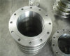 Duplex stainless steel,Titanium Flanges,Forgings