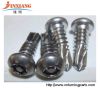 non-standard screws for door,window,etc customed screws