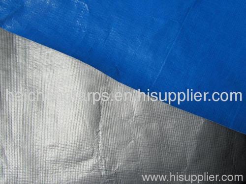 Durable Quality PE Tarpaulin In All Size in China