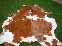 Wet Salted Cow Skin