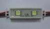 Current Flow Waterproof 2 leds 5050 SMD module