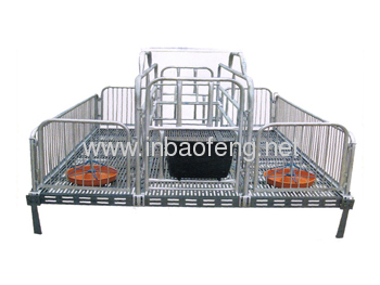 Elevated Farrowing Crates