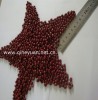 China Adzuki Bean