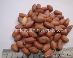 peanut kernal long shape