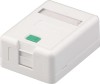 Single Port RJ45 Surface Mount Box