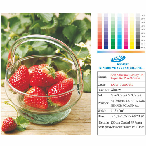 Self-Adhesive Glossy PP Synthetic Paper