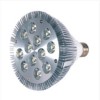 PAR38 LED LIGHTING 12W