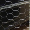 Hexagonal wire mesh