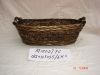 Willow basket