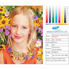 High Glossy Self Adhesive PP paper